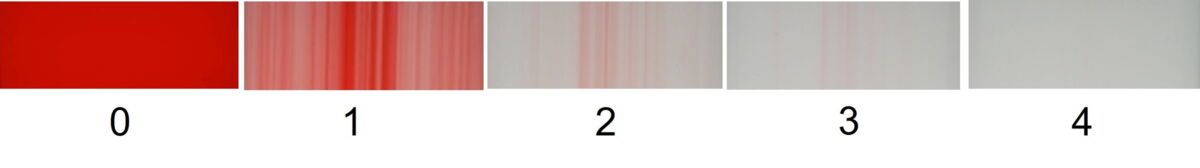 اکستروژن فیلم PP، تغییر رنگ از قرمز به سفید. فیلم پس از 0/1/2/3/4 حجم مخلوط کن